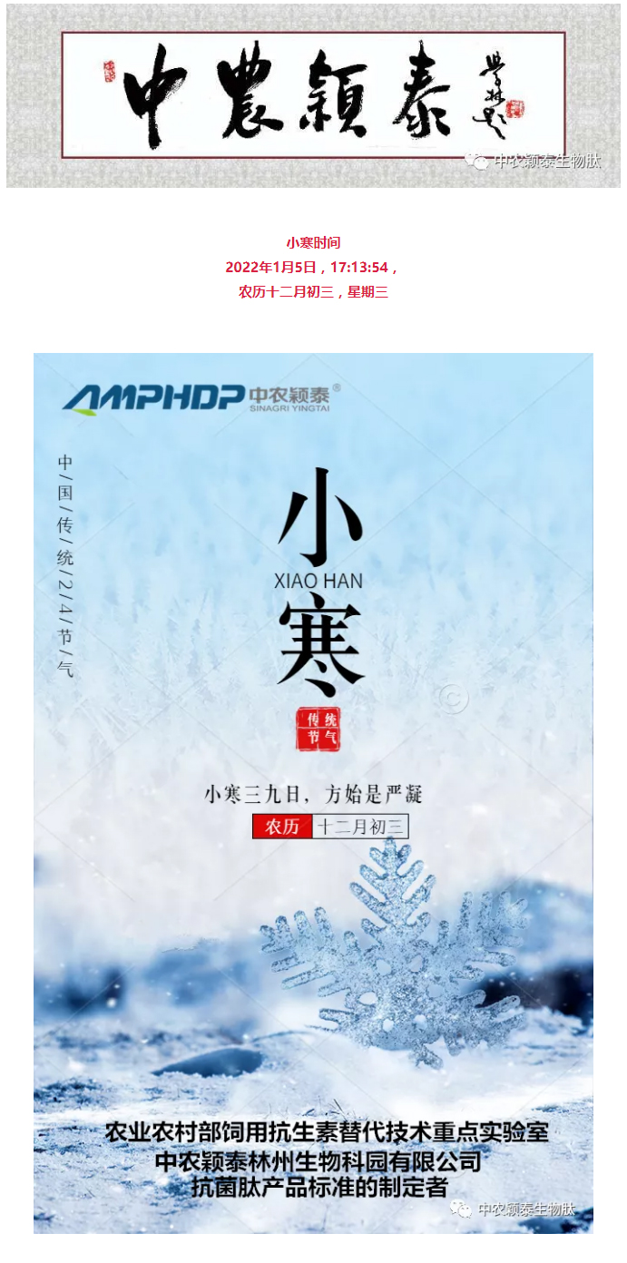 2022年（第2期）：小寒今日至，年味已冒頭_01