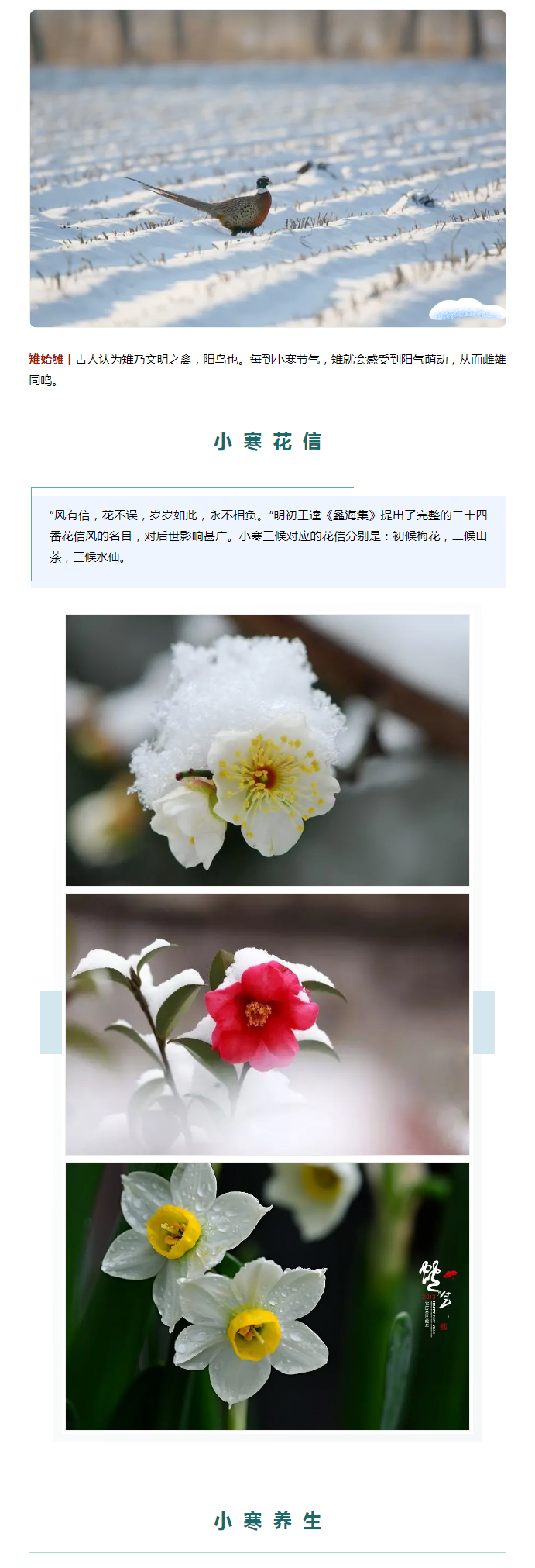 2022年（第2期）：小寒今日至，年味已冒頭_03