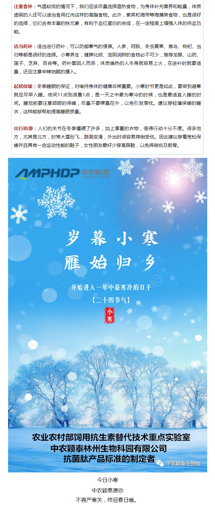 2022年（第2期）：小寒今日至，年味已冒頭_04