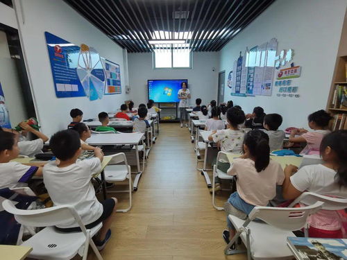 校內(nèi)校外協(xié)同發(fā)力，多元教育服務(wù)護(hù)航愛(ài)心暑托班供給